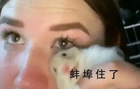 1649410530267255.jpg 640.jpg